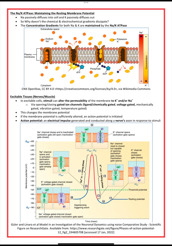 cellular-biology-biochemistry-1-1.png