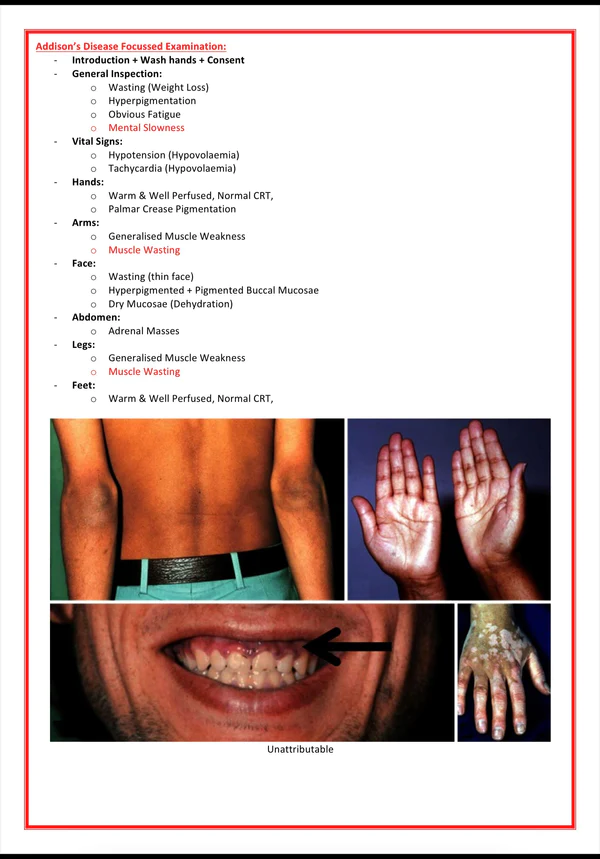 clinical-skills-examinations-medstudentnotes-1-1.png