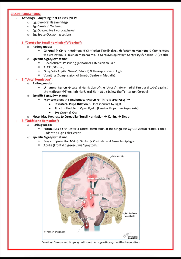 emergency-room-medicine-1.png