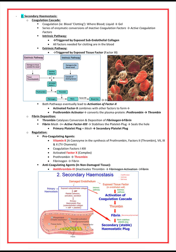 pharmalogy-1.png