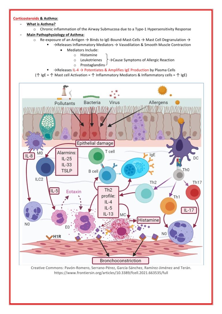 pharmology-1.jpg