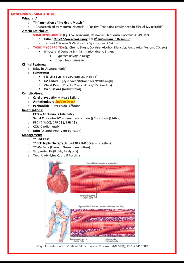 public-health-microbiology-1-1.png